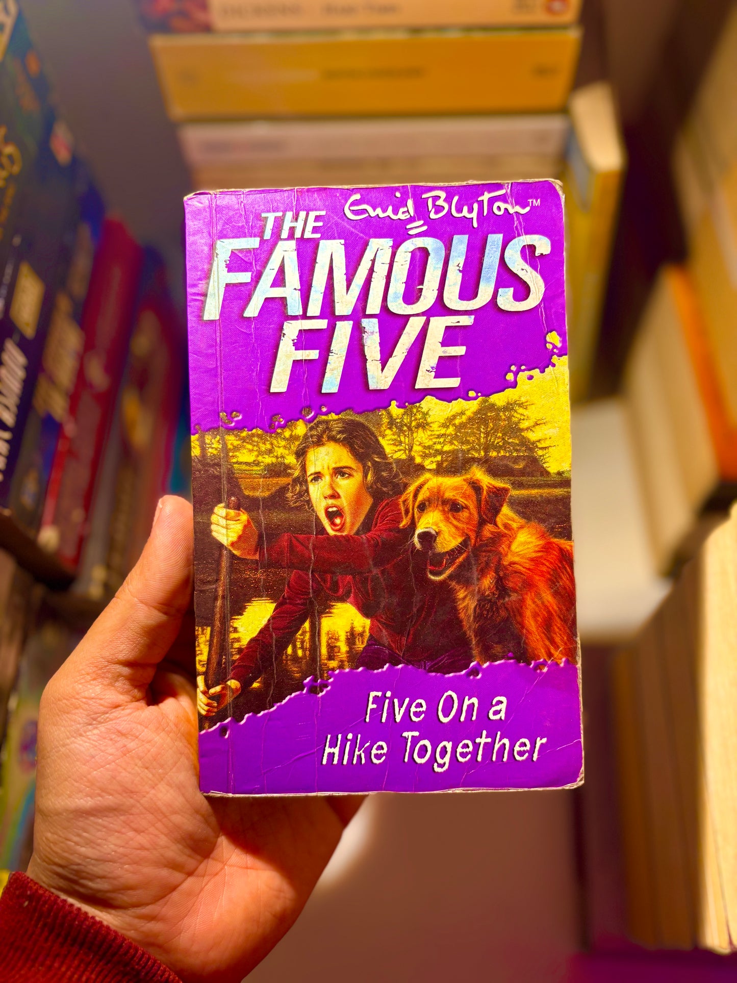 The Famous Five 10: Five on a Hike Together
