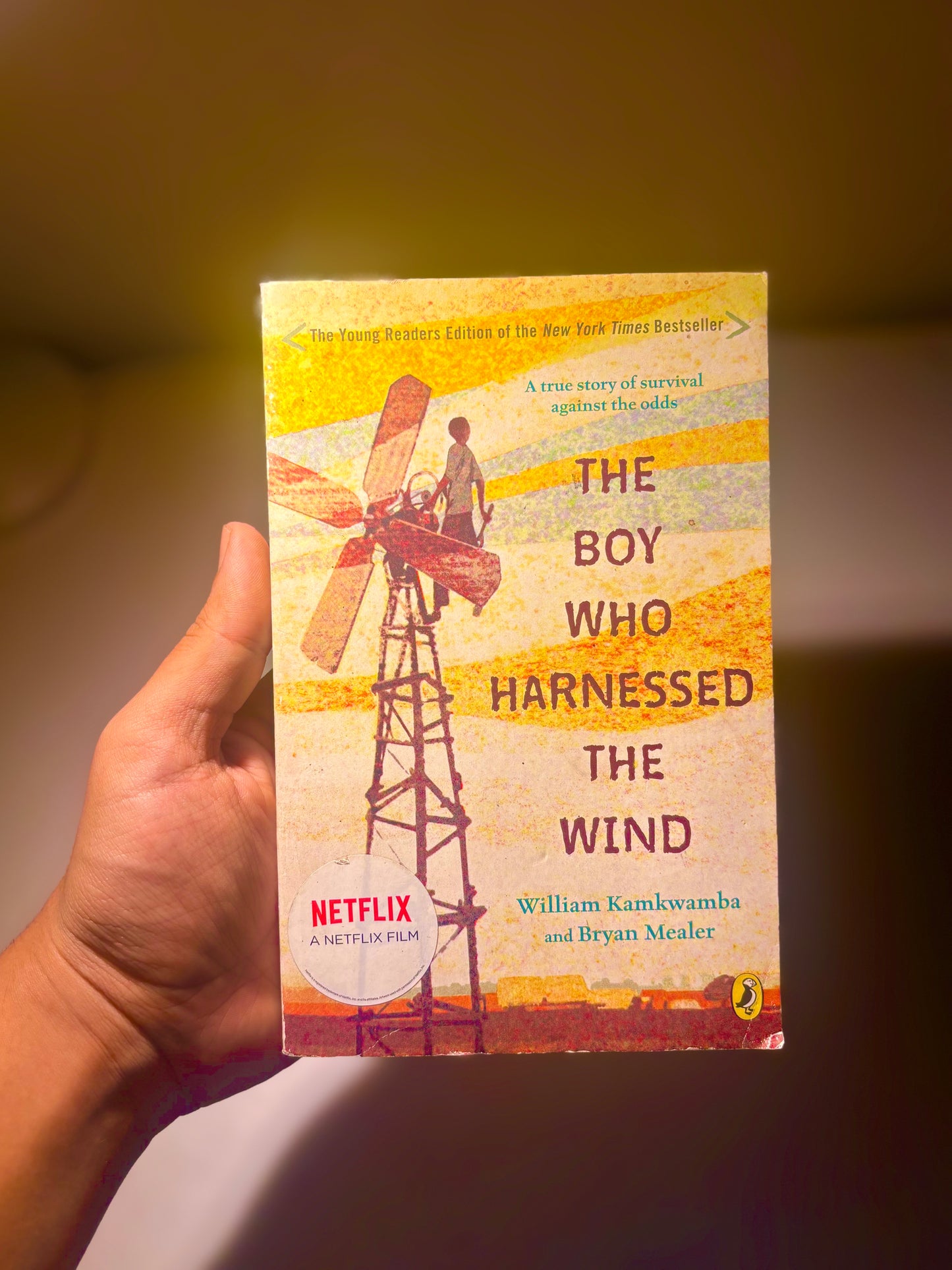 The Boy Who Harnessed the Wind