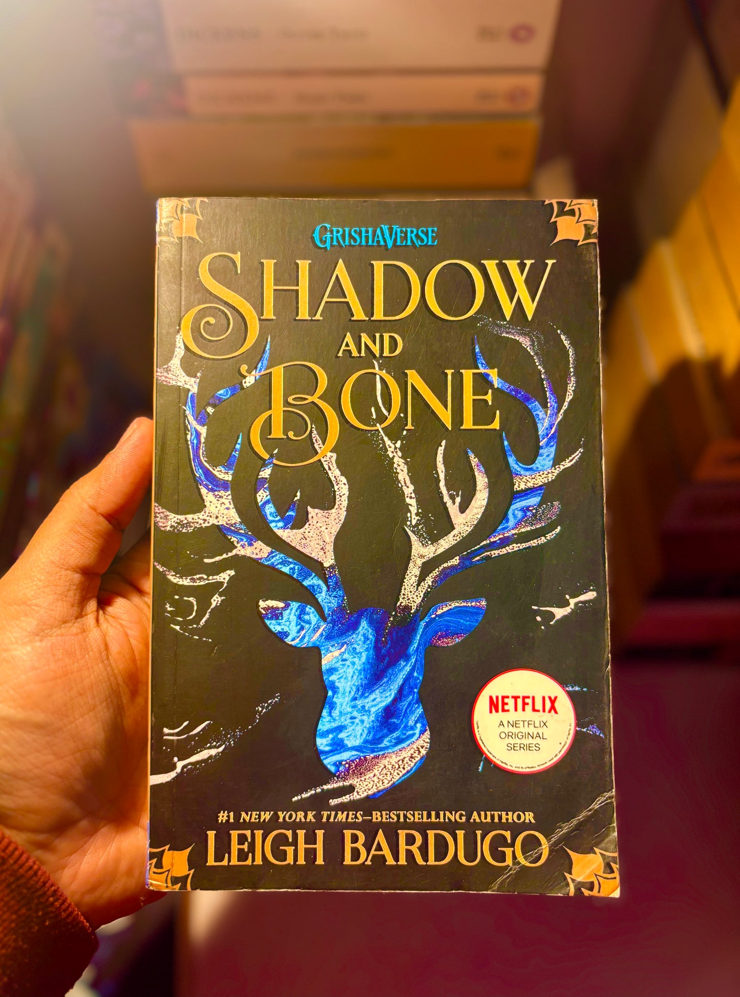The Grisha: Shadow and Bone: Book 1